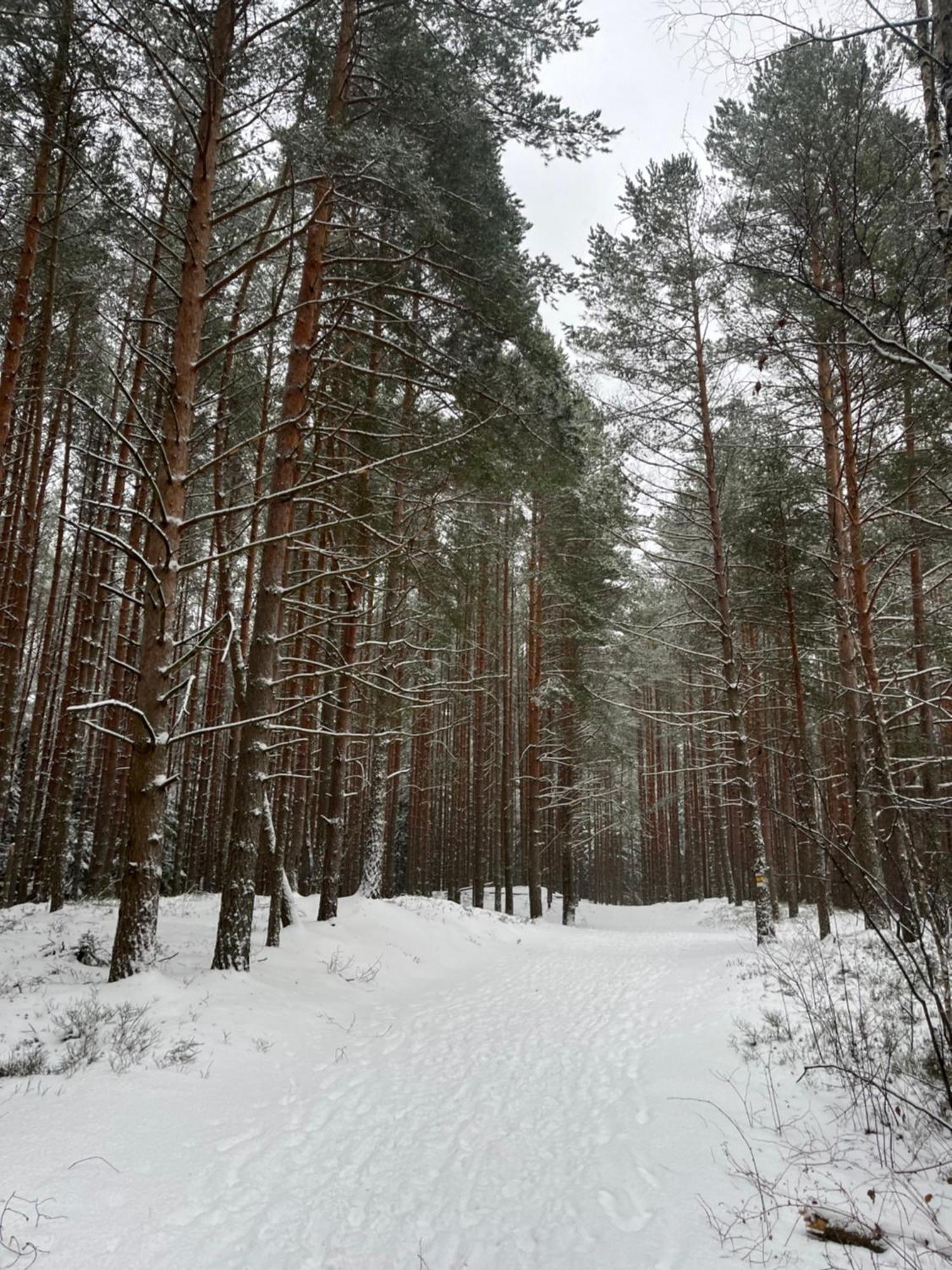 Auglu Ielas Pirts Maja Jūrkalne Exteriér fotografie
